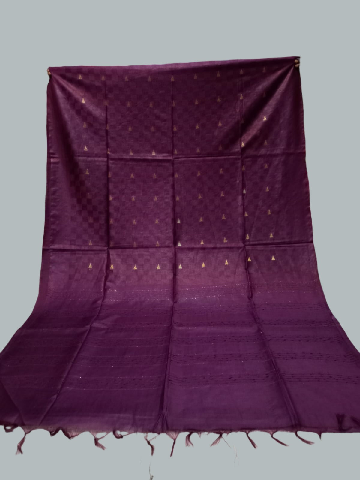 Silk Sequence Barfi with BP