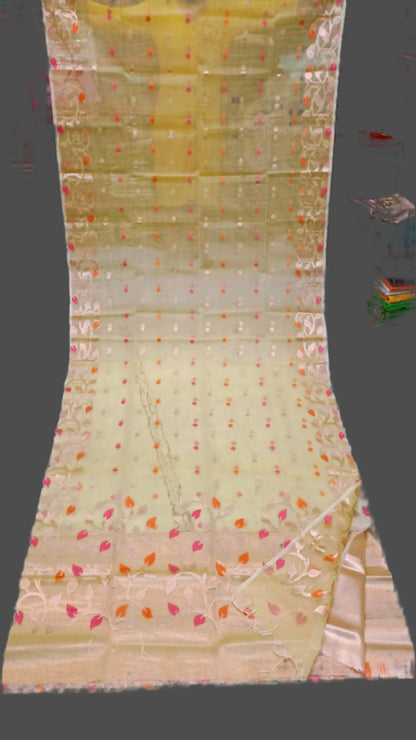 Organza Silk All Over Work With BP Transparent Saree